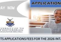 How Much Is WITS Application Fee 2026